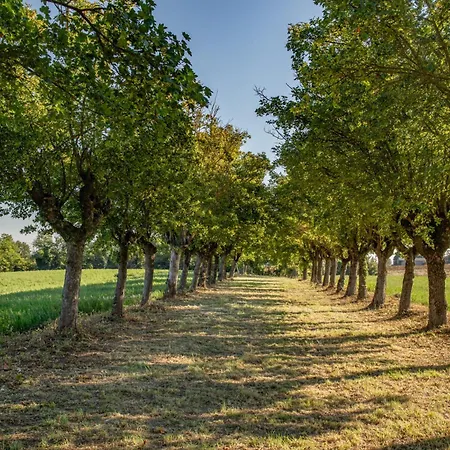 Bed & Breakfast Tenuta Ca Bassa Castel San Pietro Terme